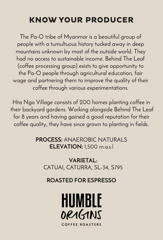 Hta Ngo Village Anaerobic Naturals Microlot | Espresso