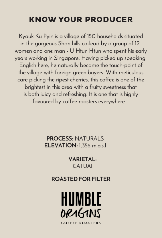 Kyauk Ku Pyin Village Naturals Microlot