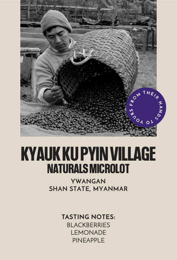 Kyauk Ku Pyin Village Naturals Microlot
