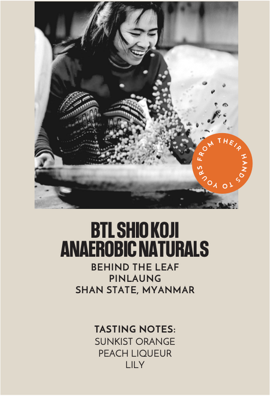 BTL Shio Koji Anaerobic Naturals