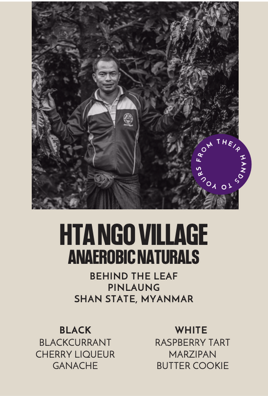 Hta Ngo Village Anaerobic Naturals Microlot | Espresso
