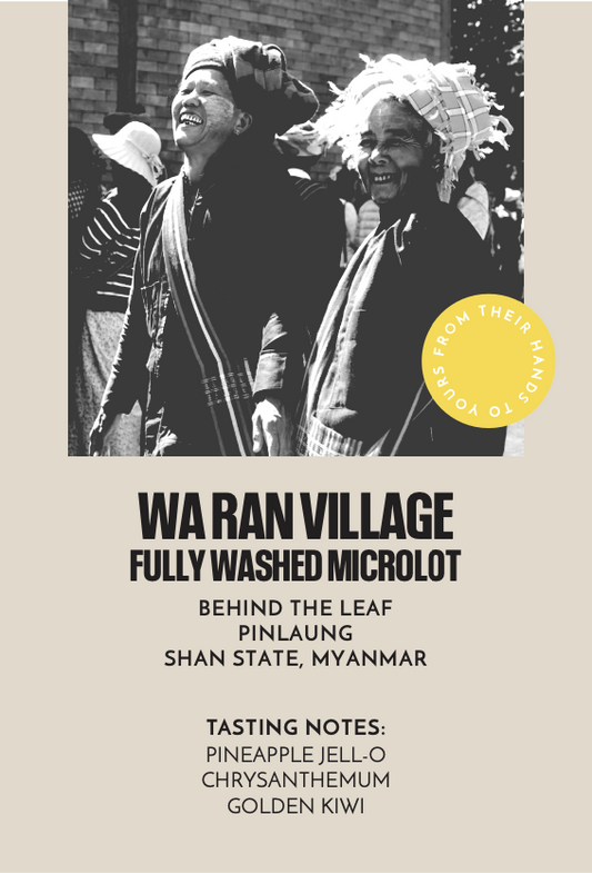 Wa Ran Village Fully Washed Microlot | Filter