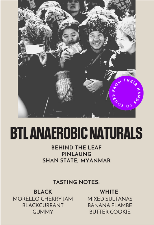 BTL Anaerobic Naturals | Espresso