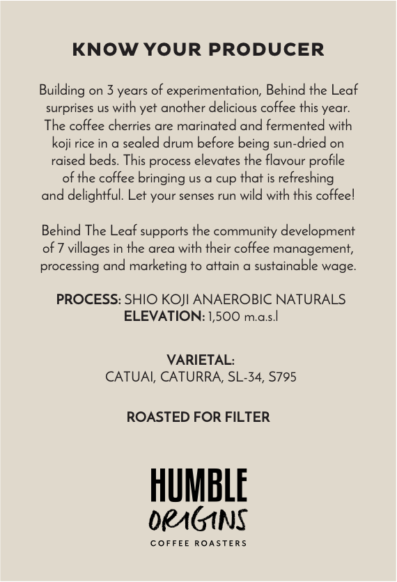 BTL Shio Koji Anaerobic Naturals