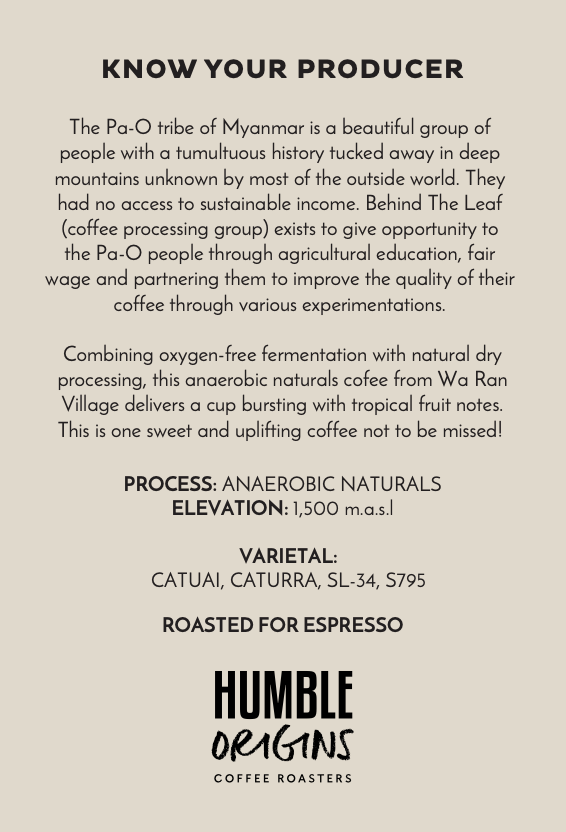 Wa Ran Village Anaerobic Naturals Microlot | Espresso