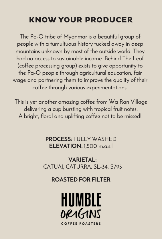 Wa Ran Village Fully Washed Microlot | Filter