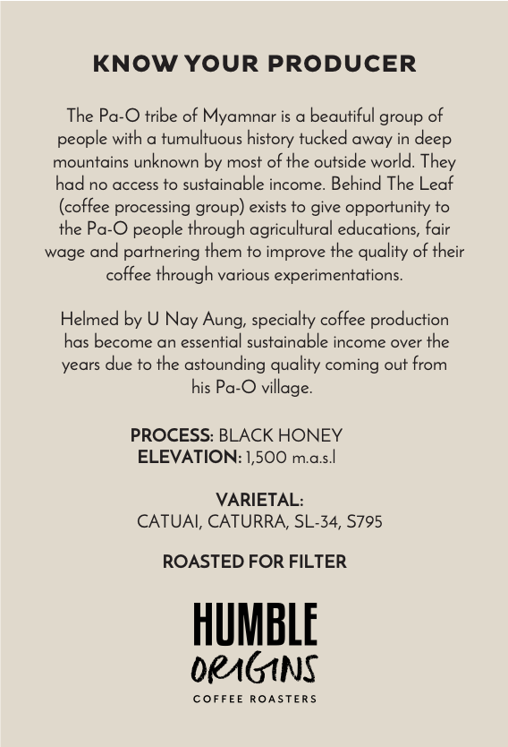 Pingalar Village Black Honey Microlot | Filter