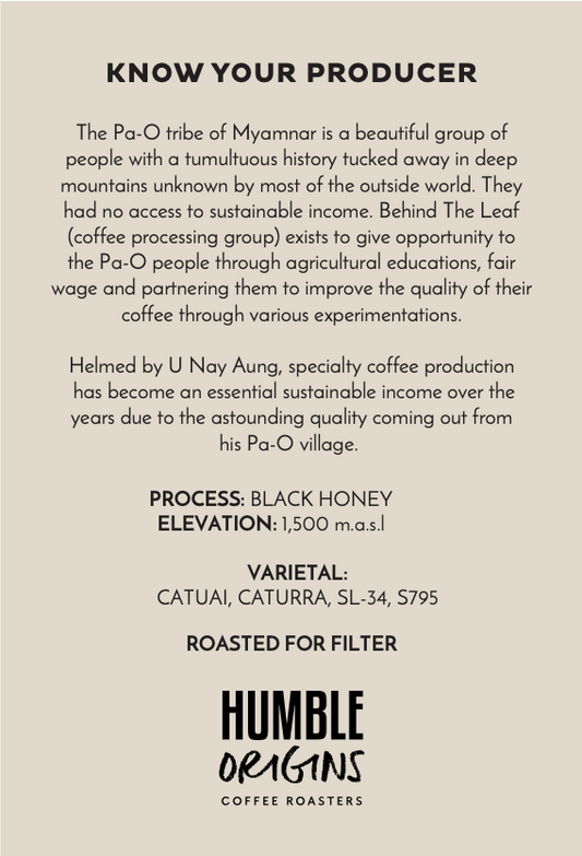 Pingalar Village Black Honey Microlot | Filter