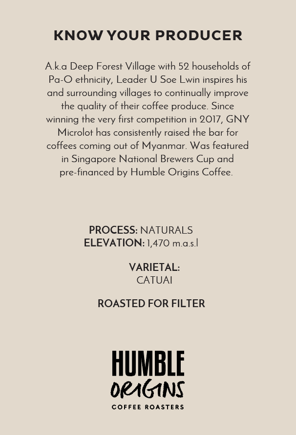 Ga Naing Yar Village Naturals Microlot | Filter