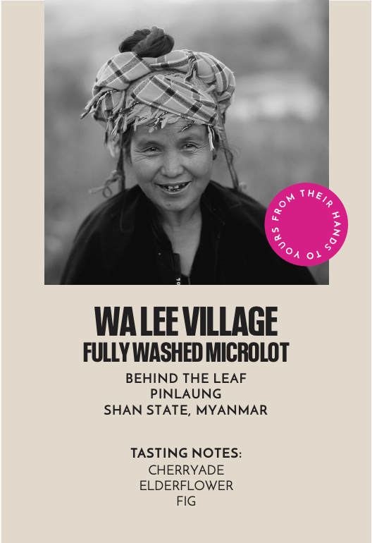 Wa Lee Village Fully Washed Microlot