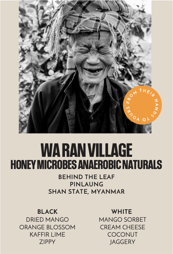 Wa Ran Village Honey Microbes Anaerobic Naturals