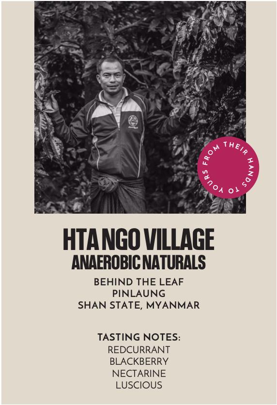 Hta Ngo Village Anaerobic Naturals Microlot