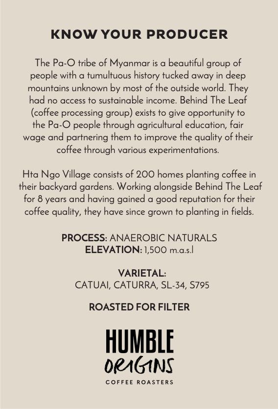 Hta Ngo Village Anaerobic Naturals Microlot